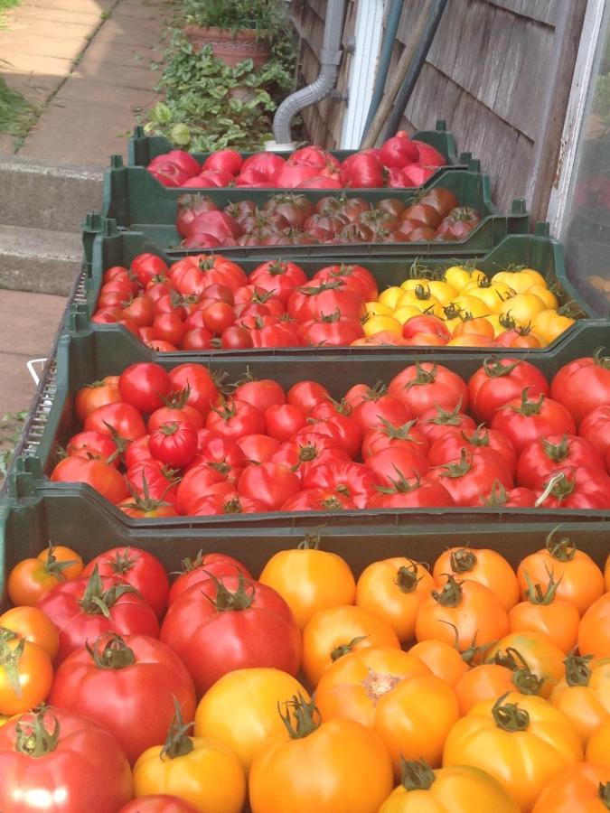 Nettles Farm 호텔 Lummi Island 외부 사진