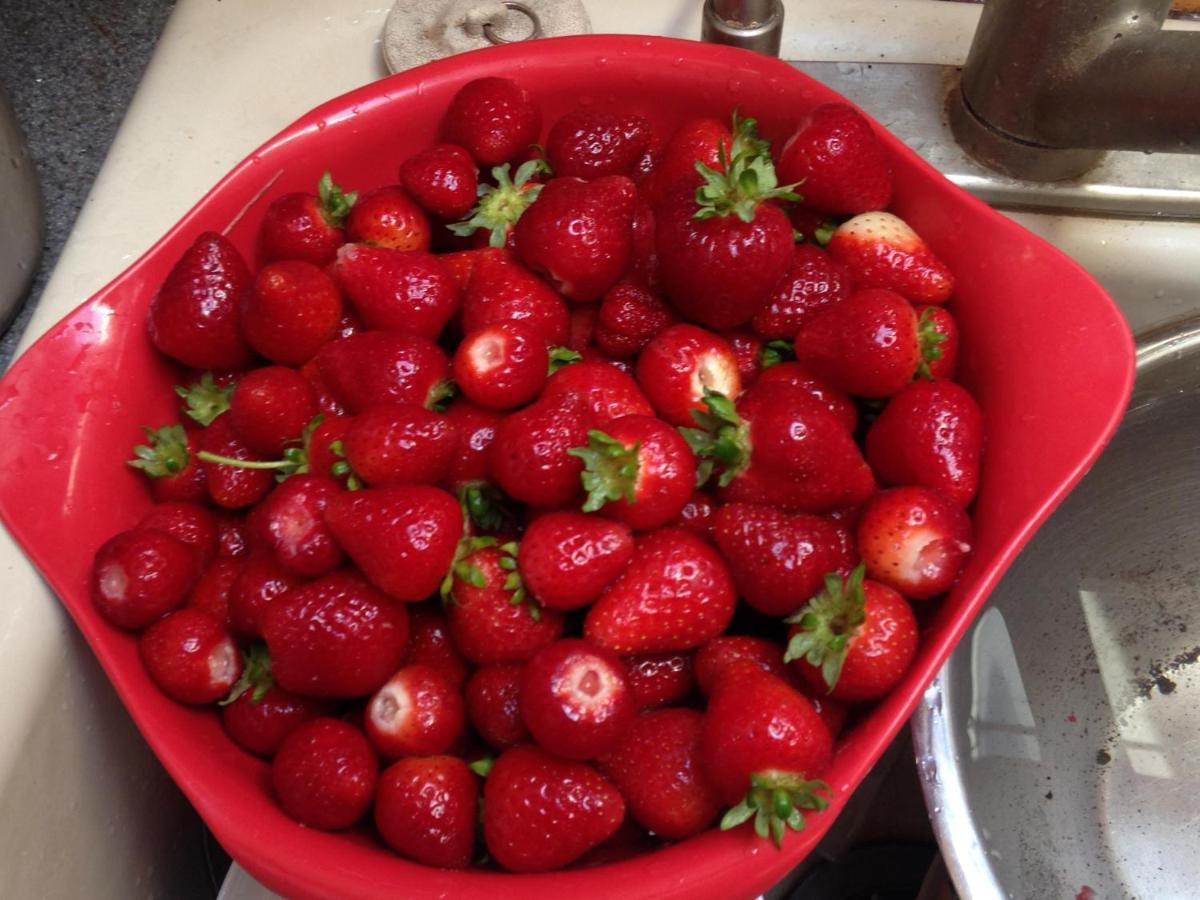Nettles Farm 호텔 Lummi Island 외부 사진