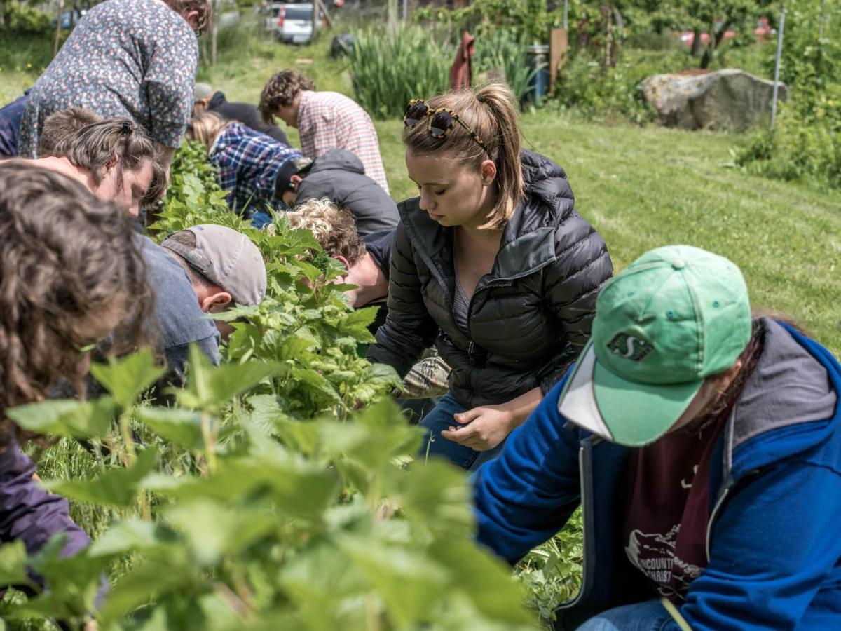 Nettles Farm 호텔 Lummi Island 외부 사진